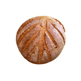 Kürbiskruste