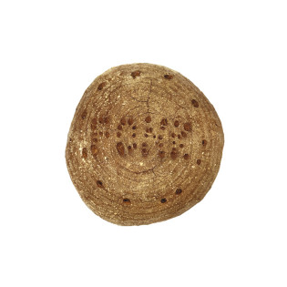 Pain gris tranché 800 g