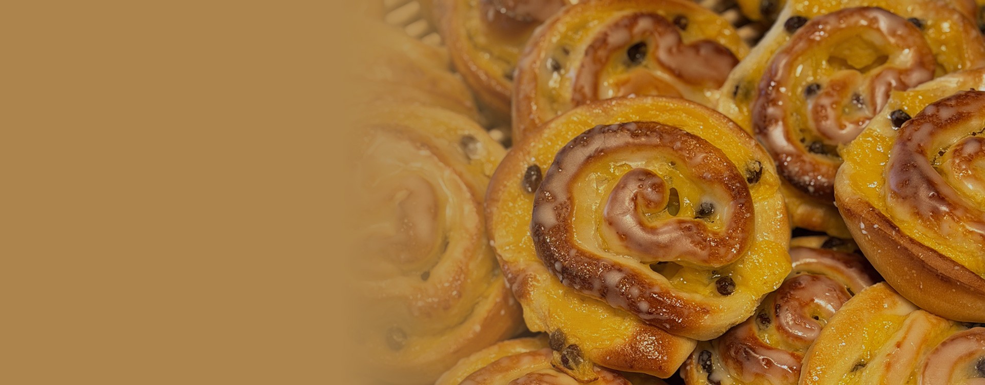 Banner 2